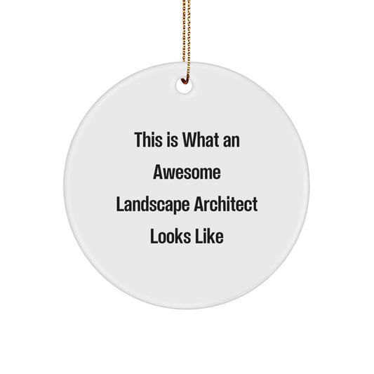 Funny Landscape Architect Gifts from Friends and Family - Awesome Circle Ornament for Christmas Unique Presents - Image 1
