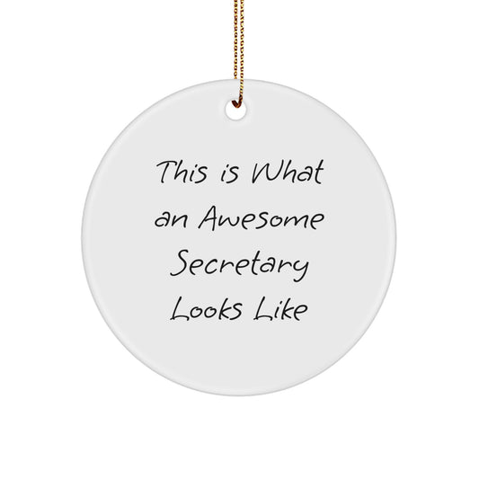 Funny Secretary Gifts from Coworkers, This Is What an Awesome Secretary Looks Like Circle Ornament for Christmas - Image 1