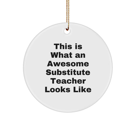 Funny Substitute Teacher Gifts, 'This Is What An Awesome Substitute Teacher Looks Like' Circle Ornament, Gifts from Men to Women, Friends, Coworkers, Family for Christmas - Image 1