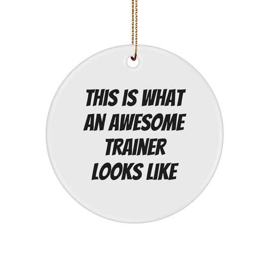Trainer Gifts from Friends, Funny Circle Ornament This Is What An Awesome Trainer Looks Like, Christmas Unique Trainer Circle Ornaments - Image 1
