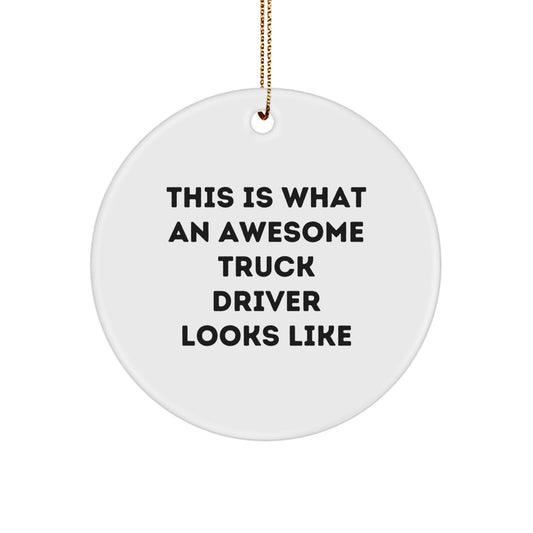 Funny Truck Driver Gifts from Friends - This Is What Awesome Looks Like Circle Ornament for Christmas - Image 1