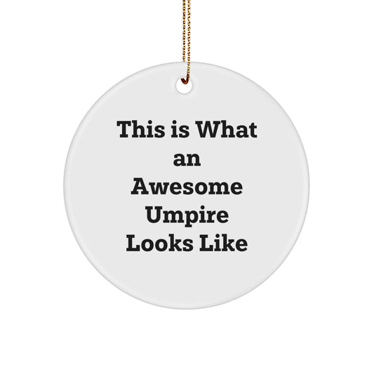 Umpire Gifts from Friends This Is What An Awesome Umpire Looks Like Circle Ornament for Christmas - Image 1