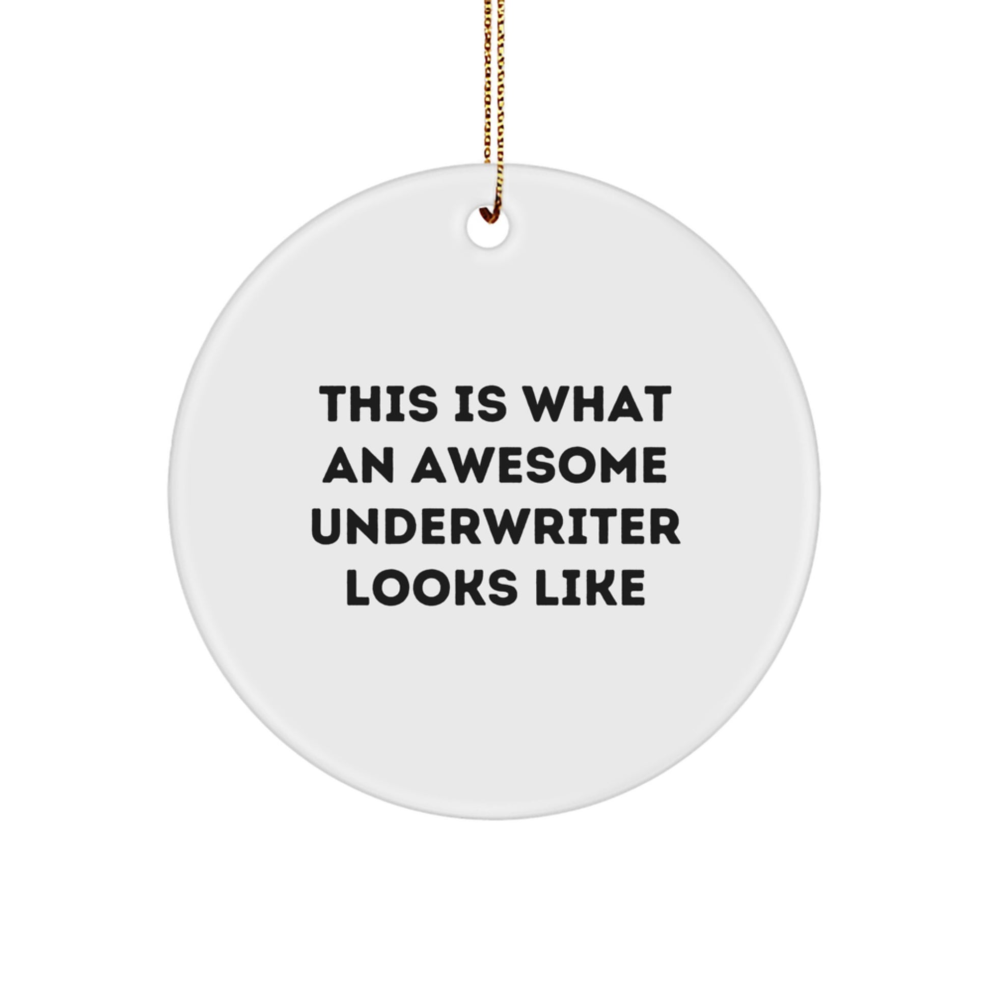 Funny Underwriter Gifts, Circle Ornament Quote 'This Is What An Awesome Underwriter Looks Like' for Friends, Family, or Coworkers - Christmas Unique Gifts from Men to Women - Image 1