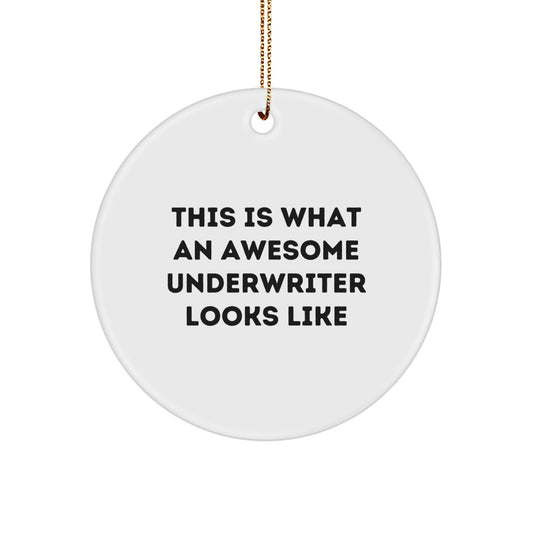 Funny Underwriter Gifts, Circle Ornament Quote 'This Is What An Awesome Underwriter Looks Like' for Friends, Family, or Coworkers - Christmas Unique Gifts from Men to Women - Image 1
