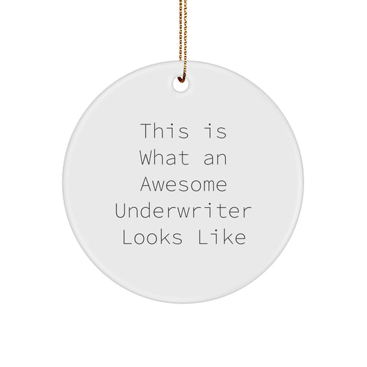Underwriter Gifts from Friends to Family - Funny Circle Ornament, 'This Is What An Awesome Underwriter Looks Like', White, 2.75'' tall, Perfect for Christmas - Image 1