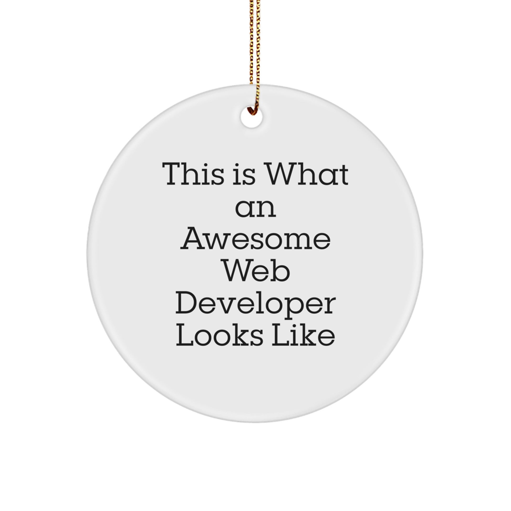 Inspirational Web Developer Gifts from Friends - This Is What An Awesome Web Developer Looks Like Circle Ornament for Christmas - Image 1