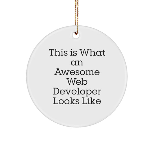 Inspirational Web Developer Gifts from Friends - This Is What An Awesome Web Developer Looks Like Circle Ornament for Christmas - Image 1