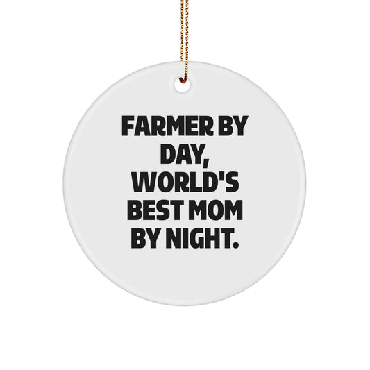 Farmer's Delight Circle Ornament, Gifts from Men to Farmer By Day, World's Best Mom By Night. at Christmas - Image 1