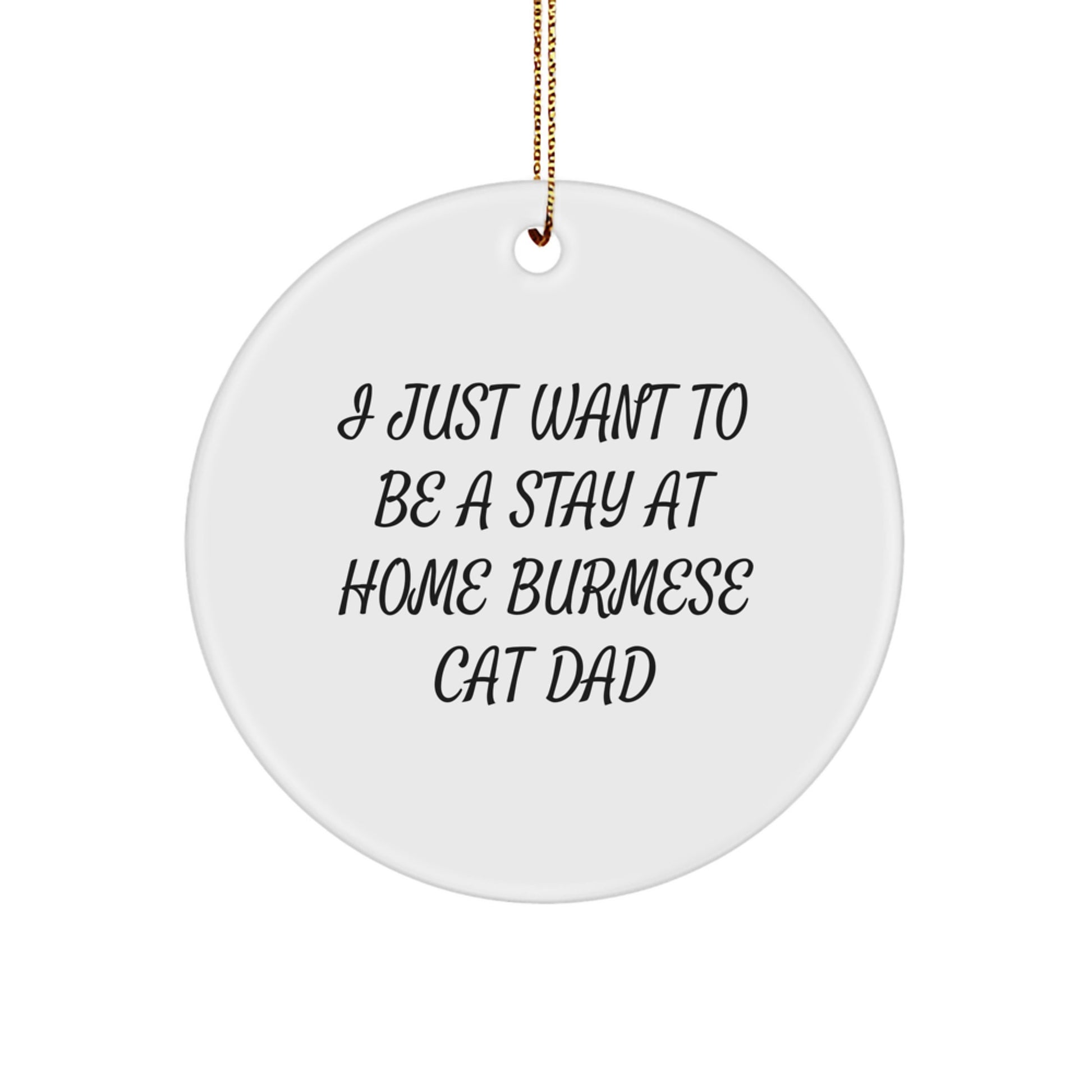Funny Burmese Cat Dad Gifts for Men - I Just Want To Be A Stay At Home Burmese Cat Dad Circle Ornament for Christmas from Family - Image 1