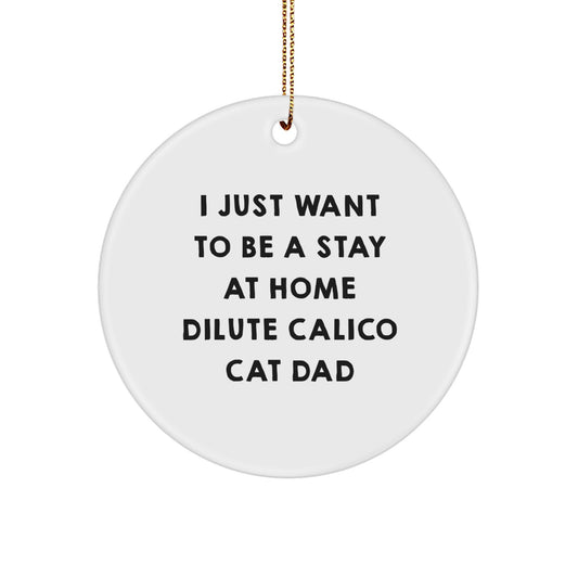 Dilute Calico Cat Dad Funny Gifts from Men to Friends at Christmas, Circle Ornament with Quote 'I Just Want To Be A Stay At Home Dilute Calico Cat Dad', Unique Dilute Calico Cat Lover Present - Image 1