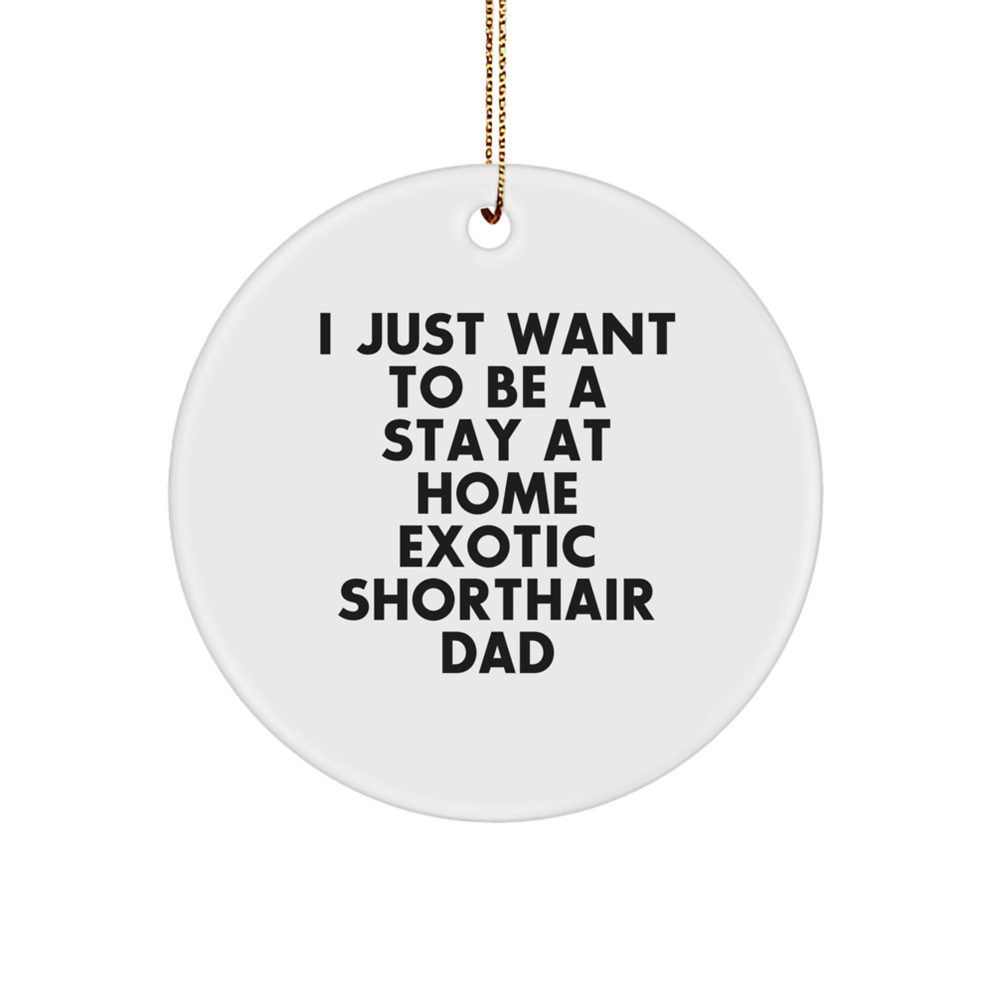 Exotic Shorthair Cat Dad's Funny Gift, I Just Want To Be A Stay At Home Exotic Shorthair Dad, White Circle Ornament for Men, Women, or Friends, Perfect for Christmas - Image 1