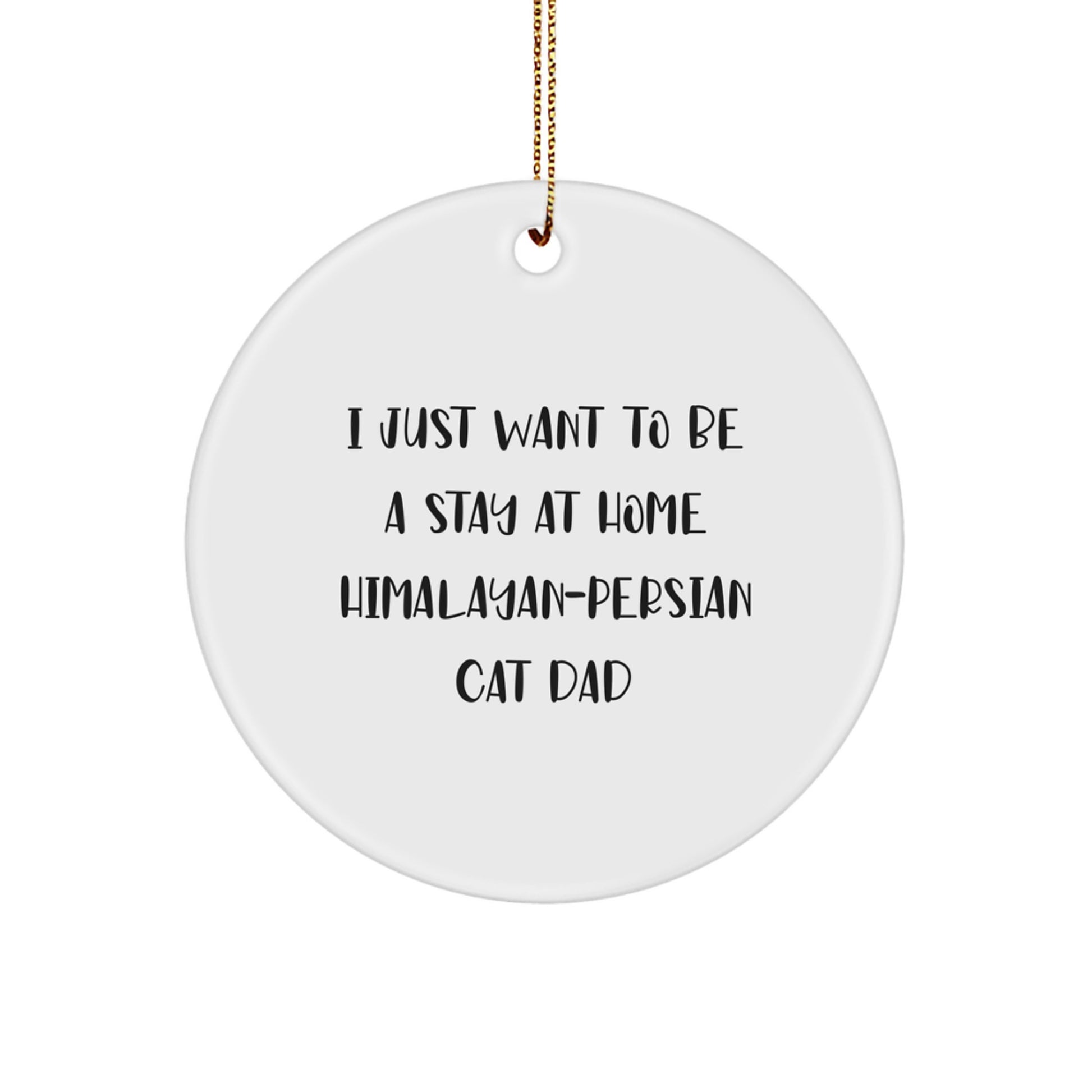 Funny Himalayan-Persian Cat Dad Gifts from Men to Family for Christmas Unique Ornaments, 'I Just Want To Be A Stay At Home Himalayan-persian Cat Dad' Circle Decoration - Image 1