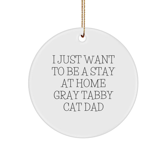 Gray Tabby Cat Lover Gifts from Men to Family Members - Unique Christmas Circle Ornament - Funny Quote 'I Just Want To Be A Stay At Home Gray Tabby Cat Dad' - Image 1