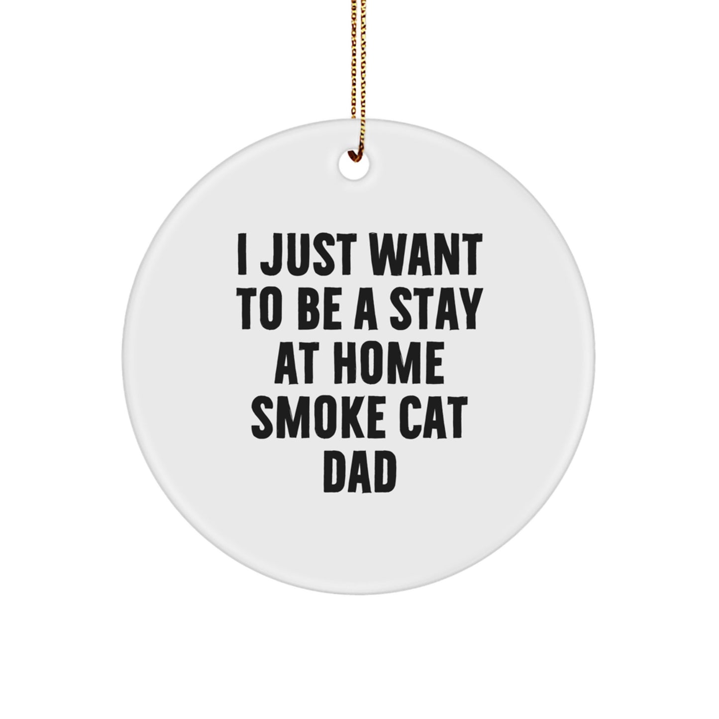 Funny Smoke Cat Gifts for Men, Circle Ornament with 'I Just Want To Be A Stay At Home Smoke Cat Dad' Quote, Christmas Unique - Image 1