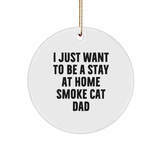 Funny Smoke Cat Gifts for Men, Circle Ornament with 'I Just Want To Be A Stay At Home Smoke Cat Dad' Quote, Christmas Unique - Image 1