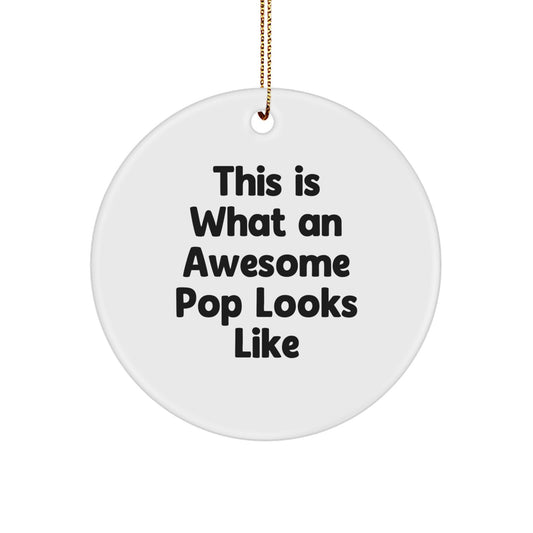 Funny Pop Circle Ornaments Gifts for Pop Lovers from Friends, Cute Christmas Unique Gifts - Image 1
