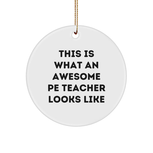 Funny PE Teacher Circle Ornament Gifts from Friends, Family, Men, Women, Coworkers, Unique Christmas Unique Gifts for PE Teachers, Inspirational Quotes - Image 1