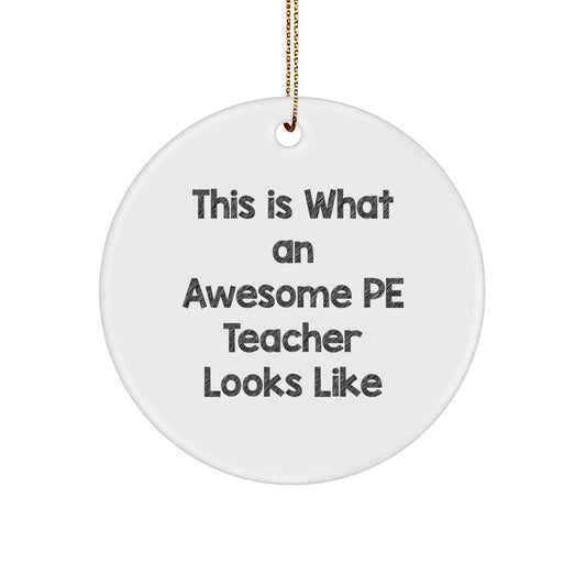 Funny PE Teacher Circle Ornament Gifts for PE Teacher from Friends - This Is What An Awesome PE Teacher Looks Like Christmas Unique Gifts - Image 1