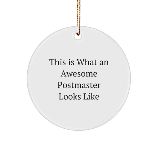 Funny Postmaster Gifts Unique Circle Ornament - Gifts from Family for Postmaster with This Is What An Awesome Postmaster Looks Like - Image 1