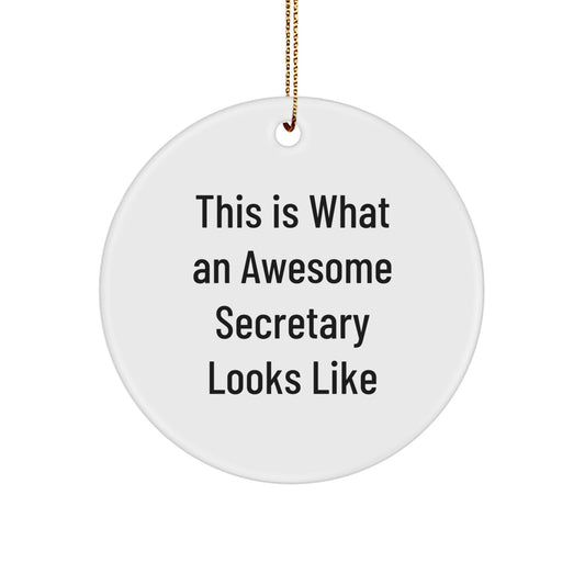 Funny Secretary Christmas Circle Ornament Gifts from Friends and Family - 'This Is What An Awesome Secretary Looks Like' Inspiration - Image 1