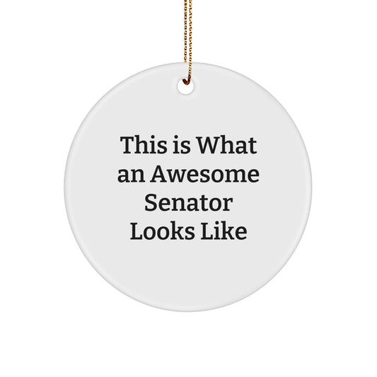 Funny Senator Gifts for Men, Women, Friends, Coworkers - 'This Is What An Awesome Senator Looks Like' Circle Ornament, Christmas Unique Presents - Image 1