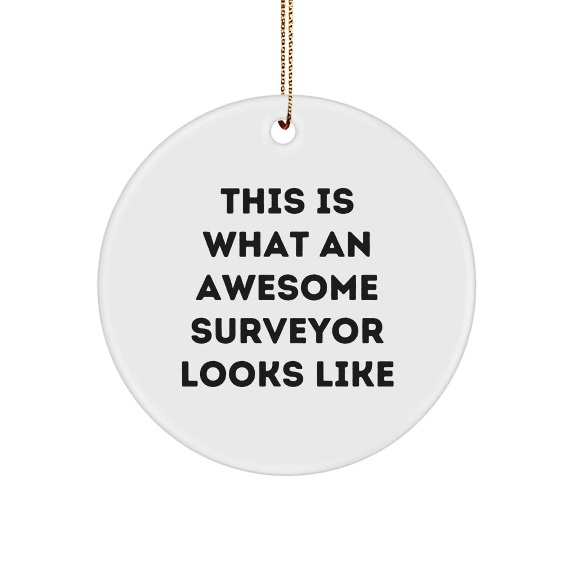 Funny Surveyor Gifts from Friends - This Is What An Awesome Surveyor Looks Like Circle Ornament for Christmas - Image 1