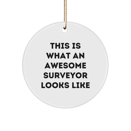 Funny Surveyor Gifts from Friends - This Is What An Awesome Surveyor Looks Like Circle Ornament for Christmas - Image 1