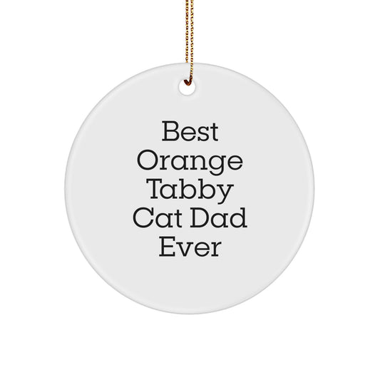 Funny Orange Tabby Cat Dad Ever Circle Ornament Gifts from Family, Gifts for Orange Tabby Cat Lovers, Christmas Unique Treasures, Best Orange Tabby Cat Dads Ever - Image 1