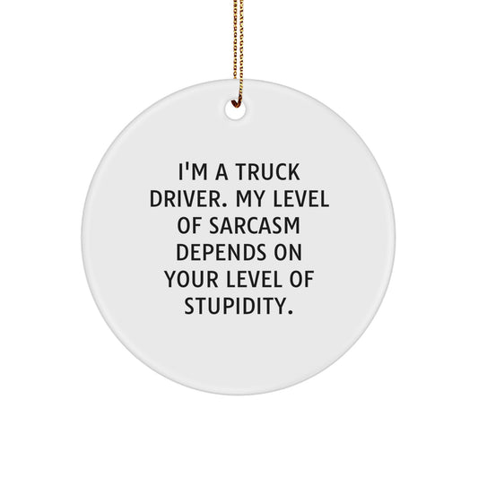 Funny Truck Driver Gifts for Him, Christmas Unique Circle Ornament with Humorous Quote, Gifts from Friends for Truck Driver - Image 1