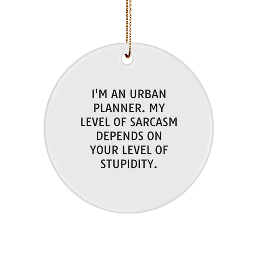 Urban Planner Gifts from Friends, Funny Circle Ornament for Urban Planner Men, Christmas Unique Gifts - Image 1