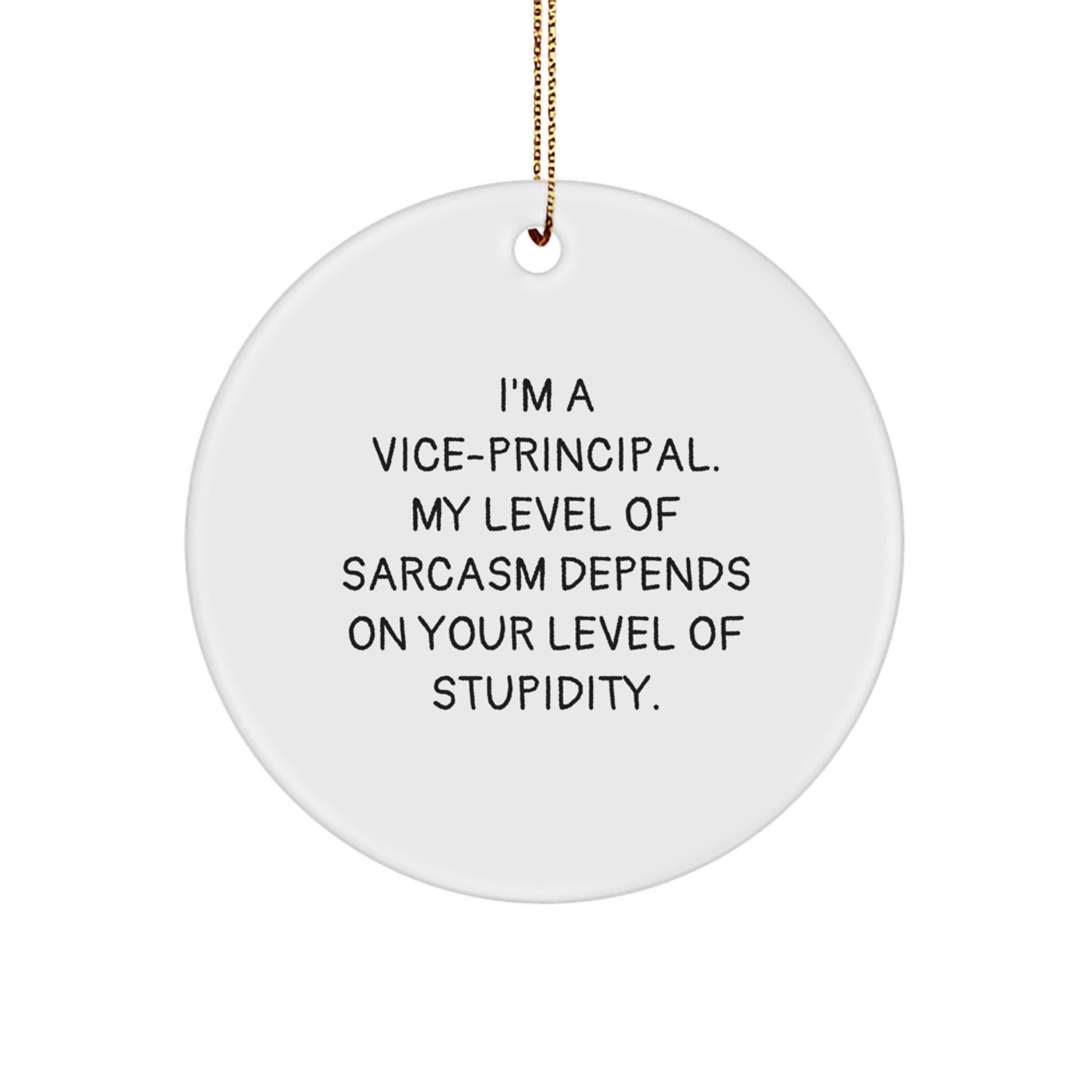 Funny Vice-principal Gifts from Coworkers for Vice-principal with Cute Circle Ornament - Christmas Unique - Image 1