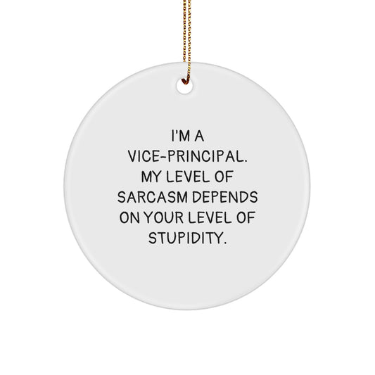 Funny Vice-principal Gifts from Coworkers for Vice-principal with Cute Circle Ornament - Christmas Unique - Image 1