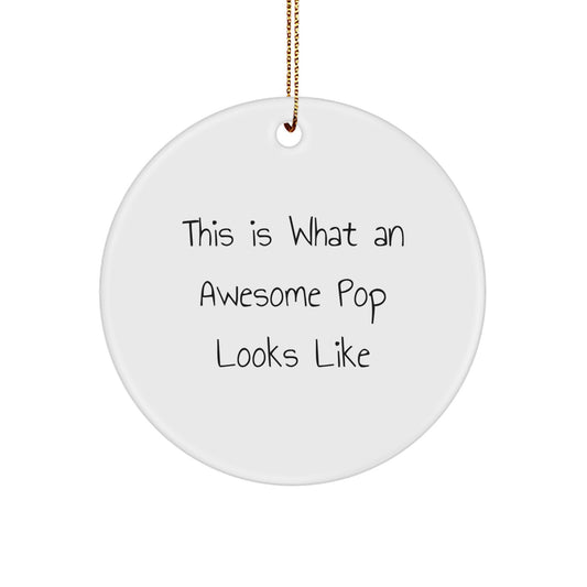Funny Pop Circle Ornaments, Gifts from Family for Christmas Unique Gifts - Image 1