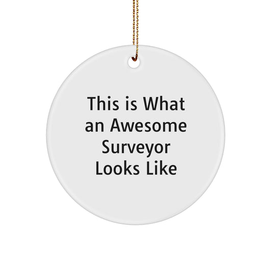 Funny Surveyor Gifts from Friends - This Is What An Awesome Surveyor Looks Like Circle Ornament, Christmas Unique Presents for Surveyor - Image 1