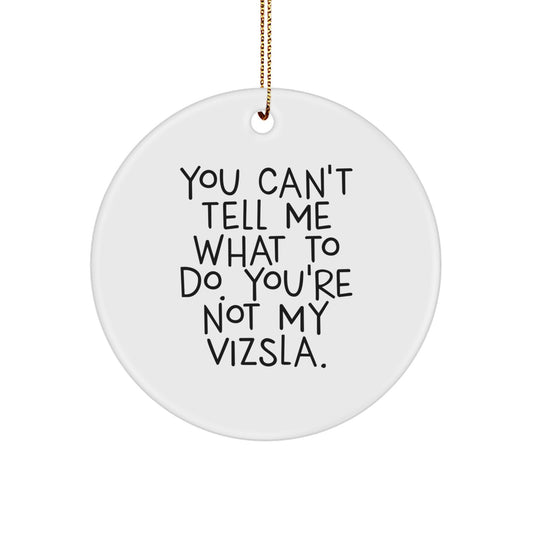 Funny Vizsla Dog Lover Gifts from Friends for Christmas Unique Circle Ornament - Image 1