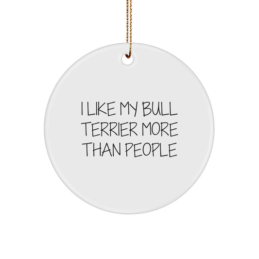 Funny Bull Terrier Dog Gifts - 'I Like My Bull Terrier More Than People' Circle Ornament for Family, Friends, or Coworkers, Christmas Unique Presents - Image 1