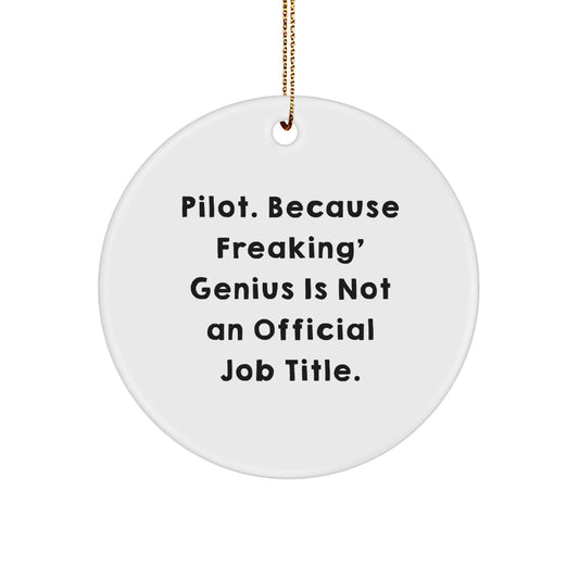 Funny Pilot Gifts, Inspirational Quotes for Pilots, Christmas Unique Ornaments for Men, Women, Friends, Coworkers, Family - Image 1