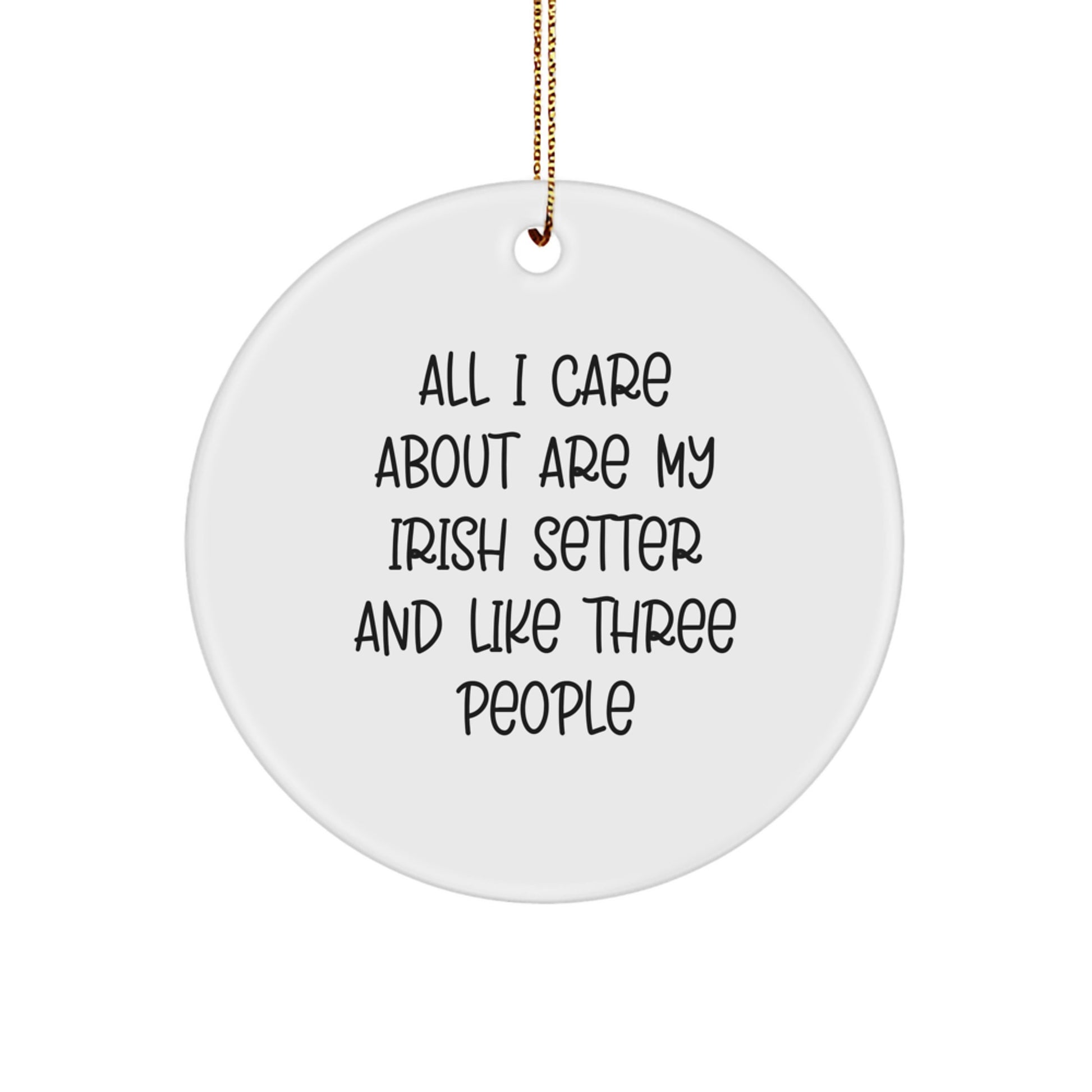 Irish Setter Dog Lover Gifts from Friends and Family - 'All I Care About Are My Irish Setter And Like Three People' Circle Ornament for Christmas - Image 1