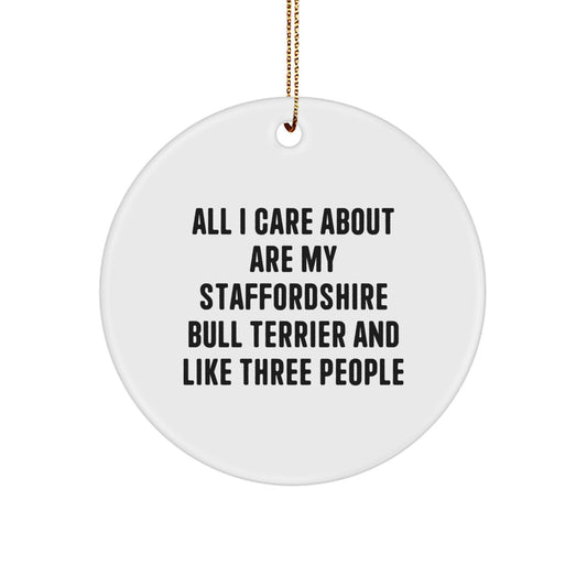Funny Staffordshire Bull Terrier Dog Gifts, Unique Circle Ornament for Christmas, All I Care About My Staffordshire Bull Terrier and Like Three People Gifts from Men to Family - Image 1