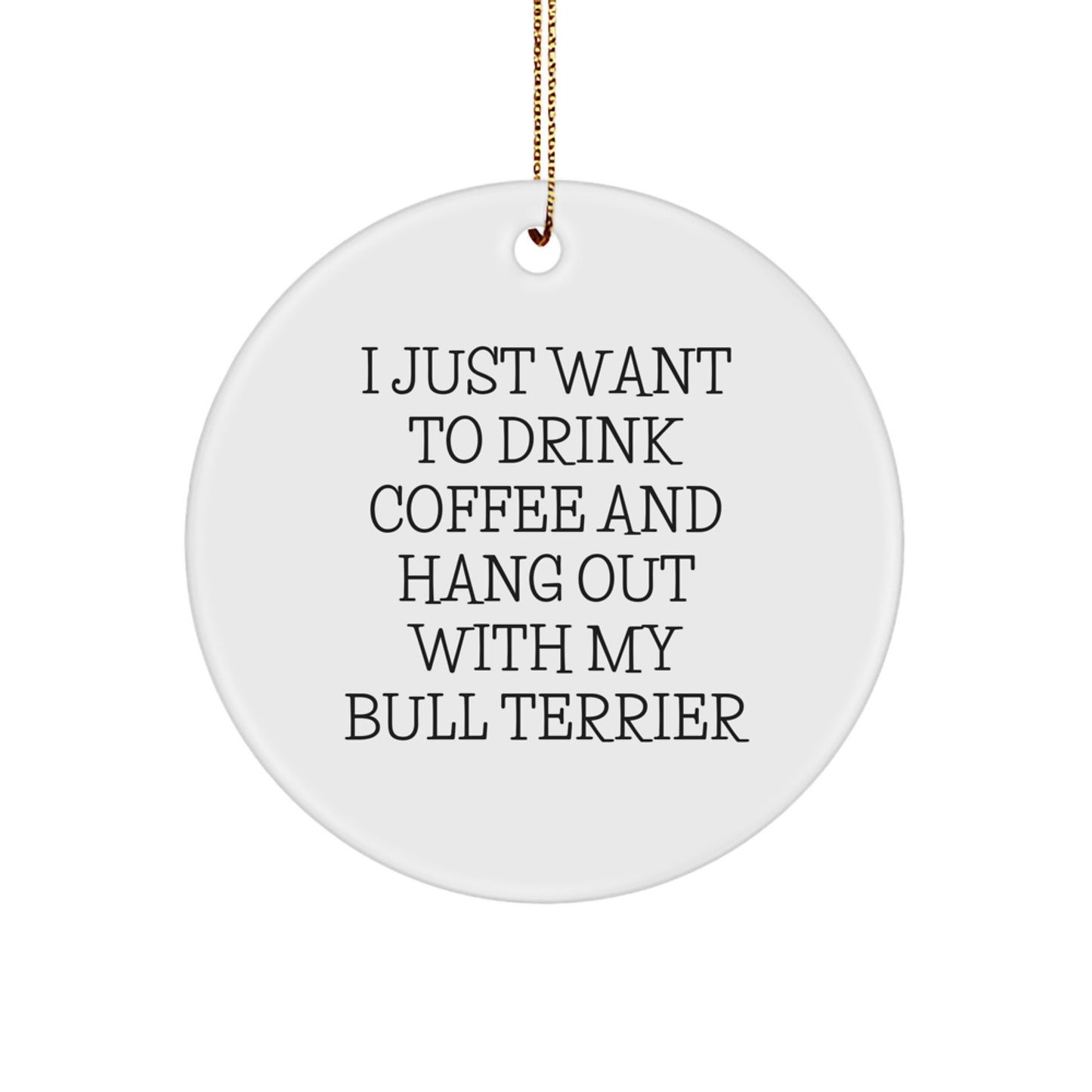 Funny Bull Terrier Dog Lover Gifts from Men to Friends, 'I Just Want To Drink Coffee And Hang Out With My Bull Terrier' Christmas Unique Gifts - Image 1