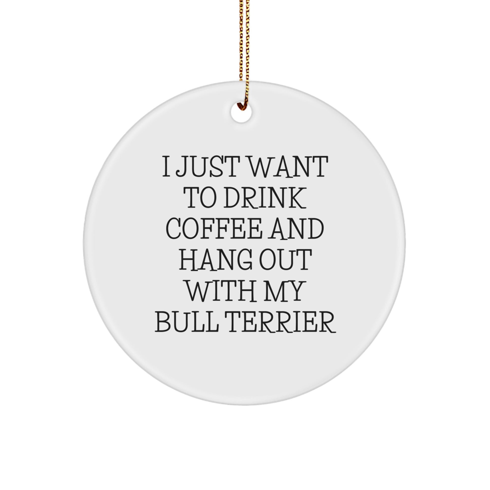 Funny Bull Terrier Dog Lover Gifts from Men to Friends, 'I Just Want To Drink Coffee And Hang Out With My Bull Terrier' Christmas Unique Gifts - Image 1