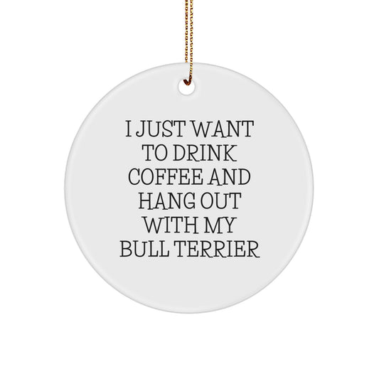 Funny Bull Terrier Dog Lover Gifts from Men to Friends, 'I Just Want To Drink Coffee And Hang Out With My Bull Terrier' Christmas Unique Gifts - Image 1