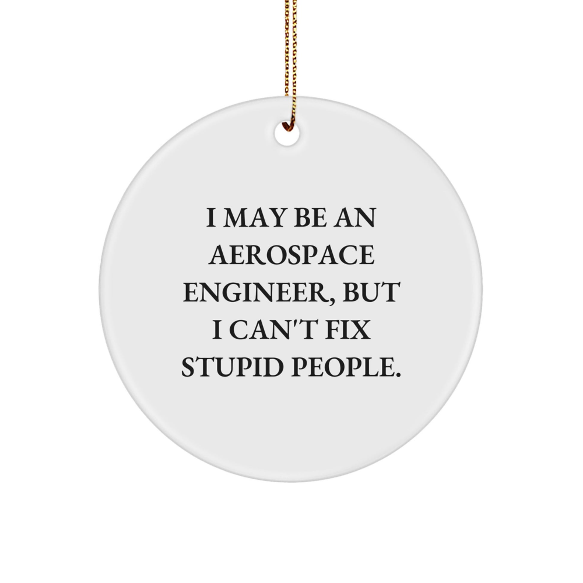 Funny Aerospace Engineer Gifts from Men to Friends - Circle Ornament with I May Be An Aerospace Engineer, But I Can't Fix Stupid People. Quote - Christmas Unique Ornaments for Aerospace Engineers - Image 1