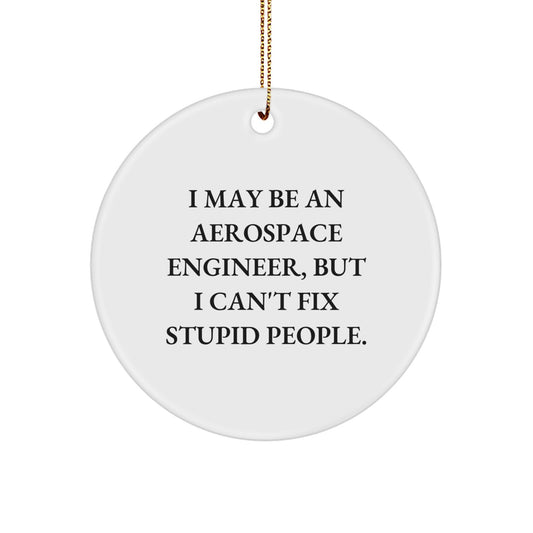 Funny Aerospace Engineer Gifts from Men to Friends - Circle Ornament with I May Be An Aerospace Engineer, But I Can't Fix Stupid People. Quote - Christmas Unique Ornaments for Aerospace Engineers - Image 1