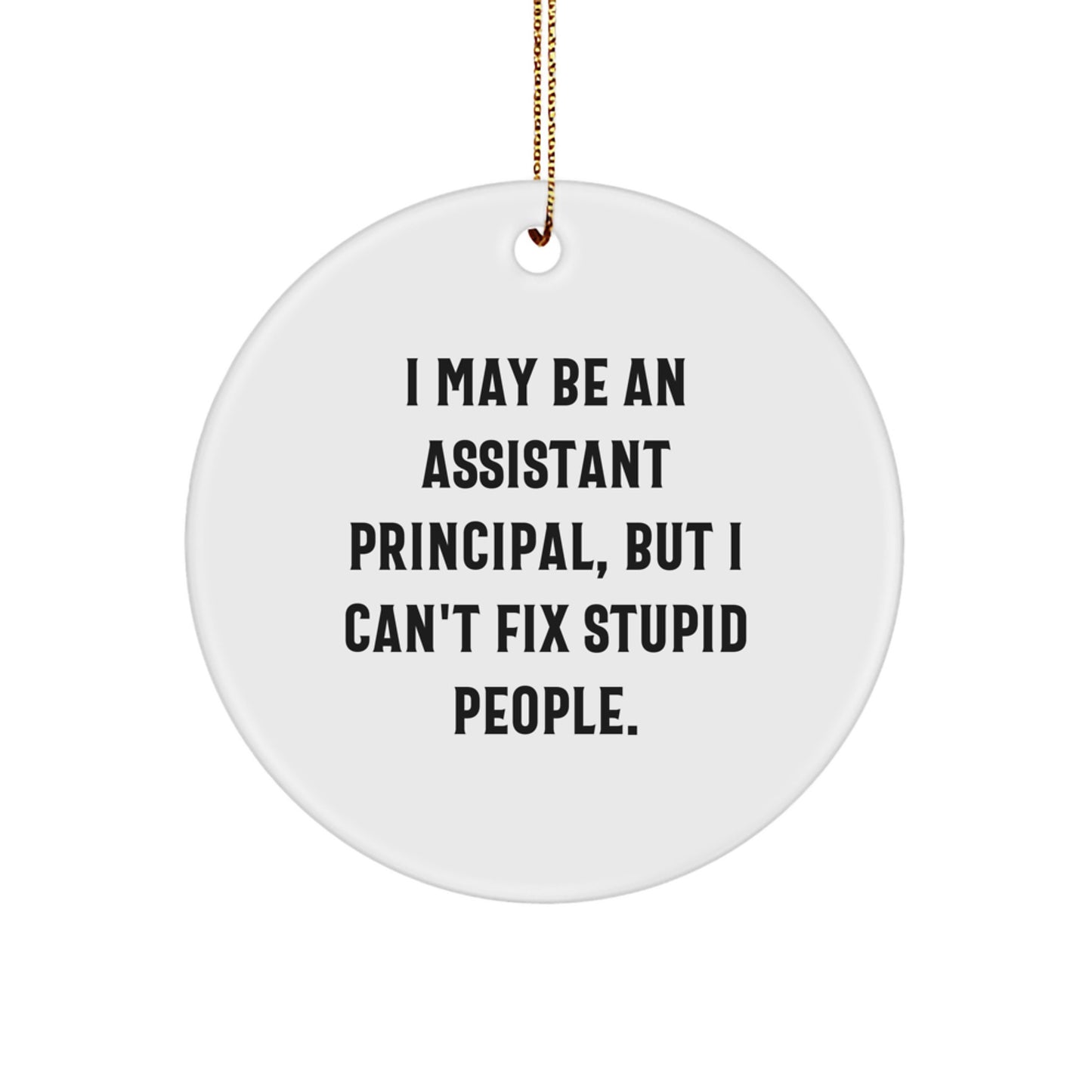 Funny Assistant Principal Gifts for Him - I May Be An Assistant Principal, But I Can't Fix Stupid People. Christmas Circle Ornament from Friends and Family - Image 1