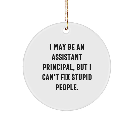 Funny Assistant Principal Gifts for Him - I May Be An Assistant Principal, But I Can't Fix Stupid People. Christmas Circle Ornament from Friends and Family - Image 1