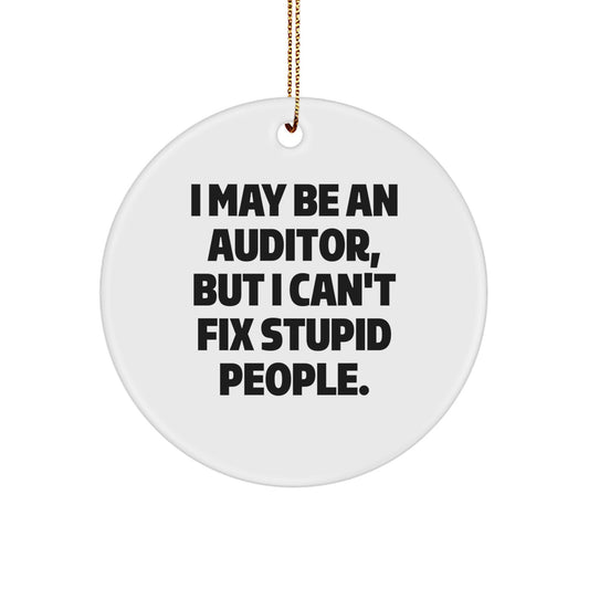 Funny Auditor Gifts from Friends and Family for Christmas Unique Circle Ornament I May Be An Auditor But I Cant Fix Stupid People - Image 1