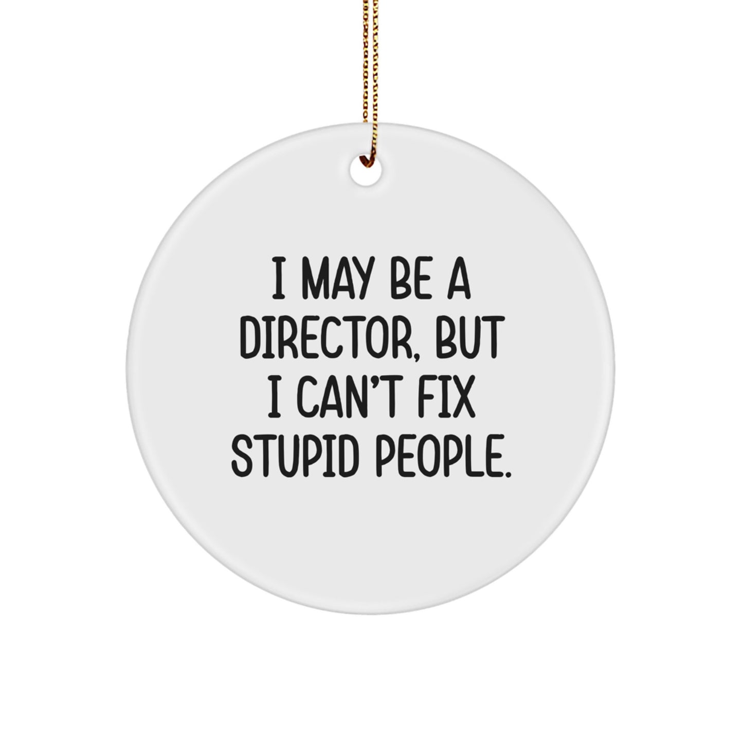 Funny Director Gifts from Friends - I May Be A Director, But 'I Can't Fix Stupid People' Christmas Unique Ornaments for Men Women Coworkers Family - Image 1