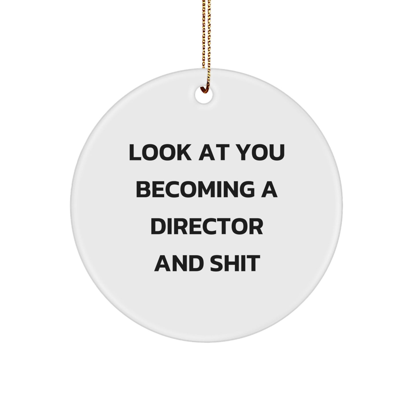 Funny Director Gifts for Him, 'Look At You Becoming A Director And Shit' Christmas Unique Ornaments for Office Desk Decor - Image 1