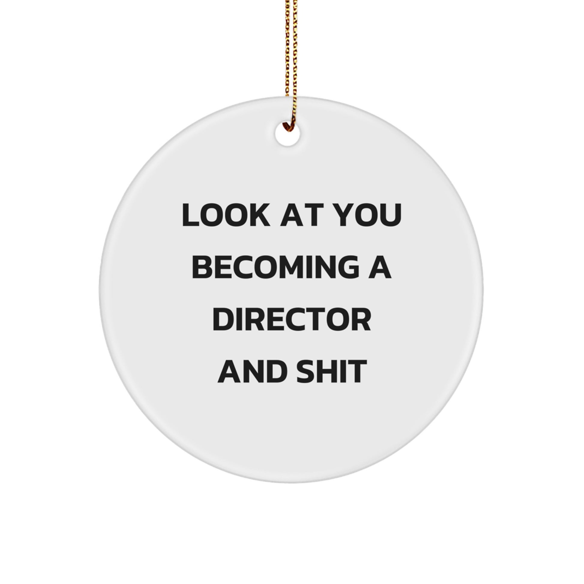 Funny Director Gifts for Him, 'Look At You Becoming A Director And Shit' Christmas Unique Ornaments for Office Desk Decor - Image 1